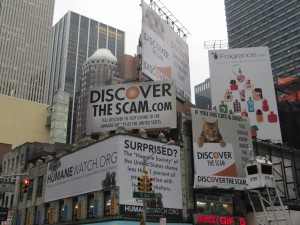 DiscoverBillboardNYC2-300x225